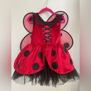 Toddler ladybug costume